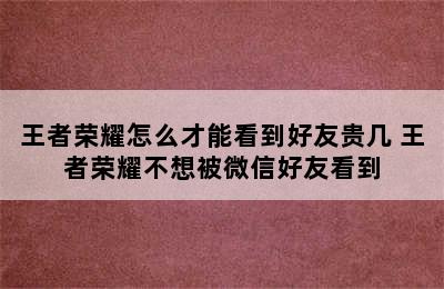 王者荣耀怎么才能看到好友贵几 王者荣耀不想被微信好友看到